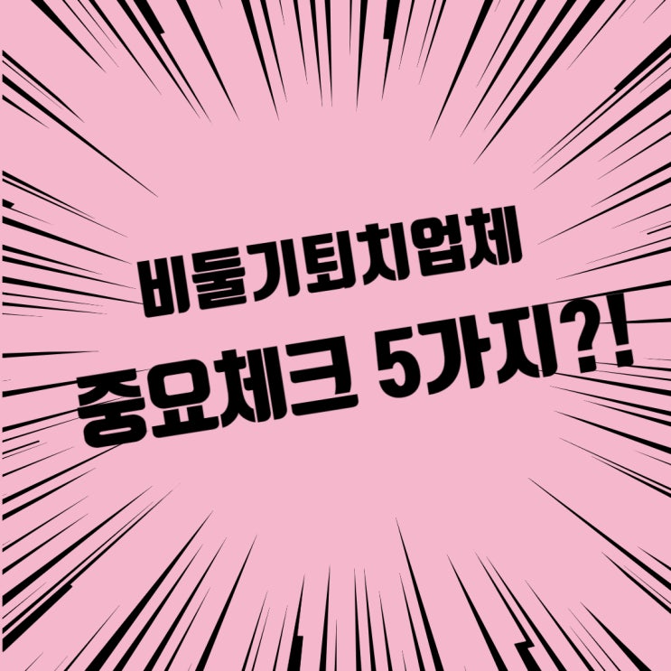  비둘기퇴치업체 이런게 중요했다고?!