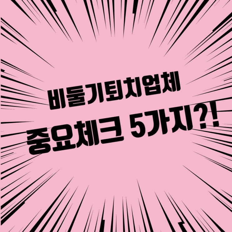 비둘기퇴치업체 이런게 중요했다고?!