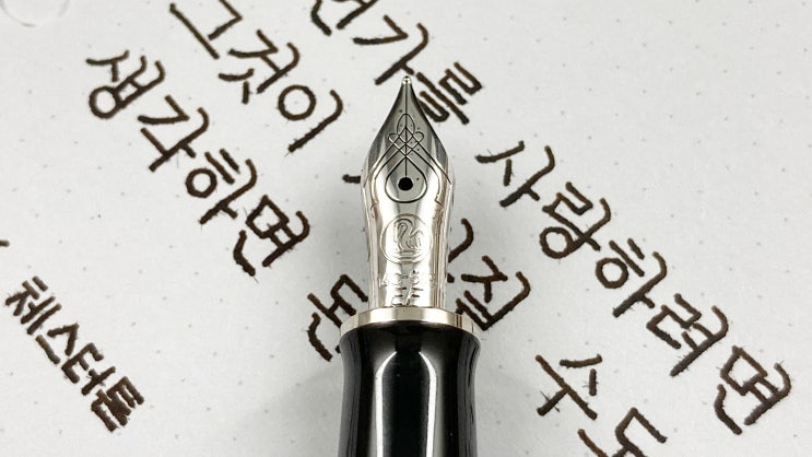  무언가를 사랑하려면 (만년필 필사, 정자체, 펠리칸 M405 슈트레제만 EF닙)