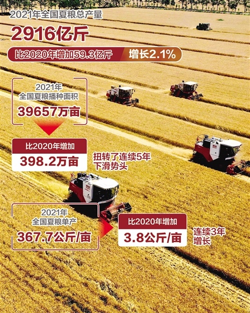 중국, 올해 하곡 생산량 2.1% 증가