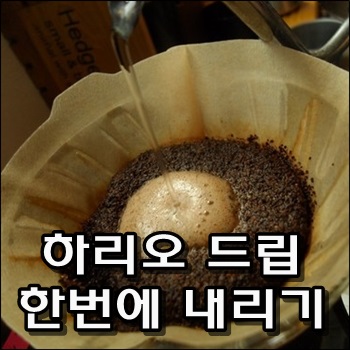 하리오 드립 한번에 내리기 하리오 드립 한번에 내리기