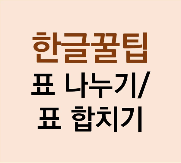  [한글꿀팁] 표나누기/표합치기 단축키