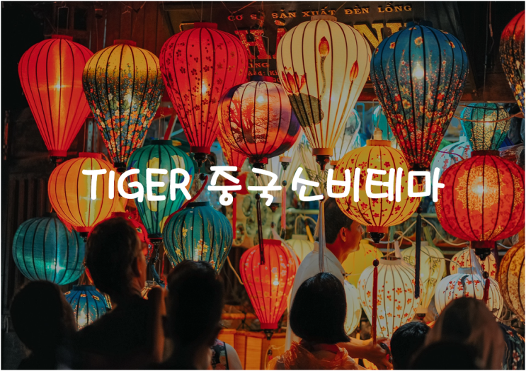  TIGER 중국소비테마 : 중국 시장에 분산투자하는 ETF