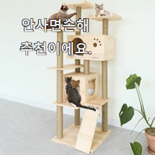  콕 찝어알려드림 딩동펫 튼튼 원목 캣타워 나만의 선택 추천하고 칭찬받았어요.