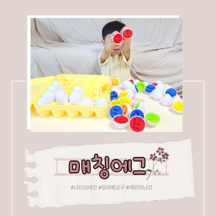  너티브레인 매칭에그 4세 장난감으로 좋은 영어 색깔교구