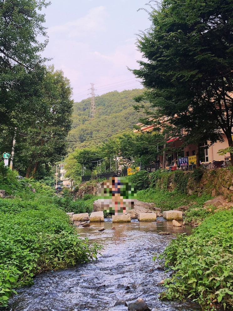  [서울 근교 계곡] 용인 고기리 계곡 당일치기 물놀이 장소로 추천(가는 법, 계곡 이용 꿀팁)