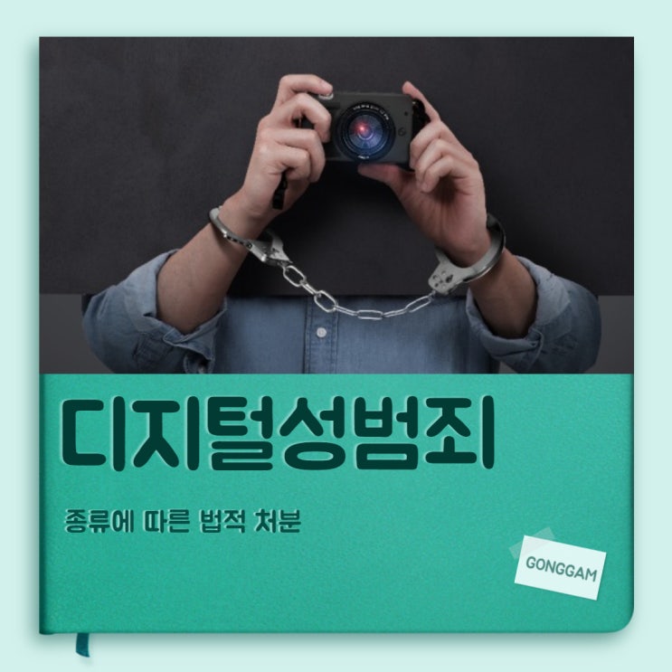 디지털성범죄 종류 및 법적 처분 디지털성범죄 종류 및 법적 처분