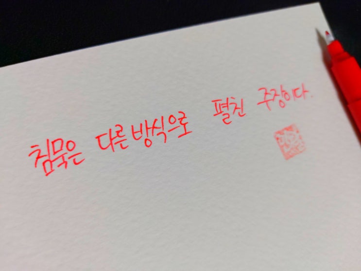  [초보 캘리그라피] 체 게바라 명언 모음