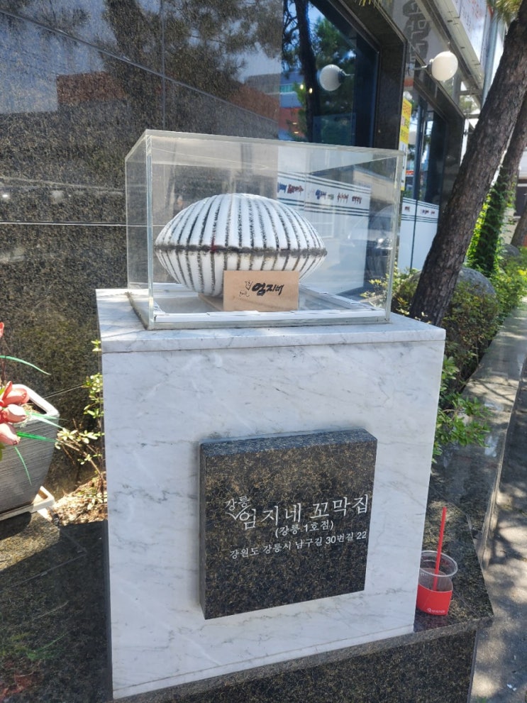  안목해수욕장개장.안목카페거리 연탄빵 키크러스