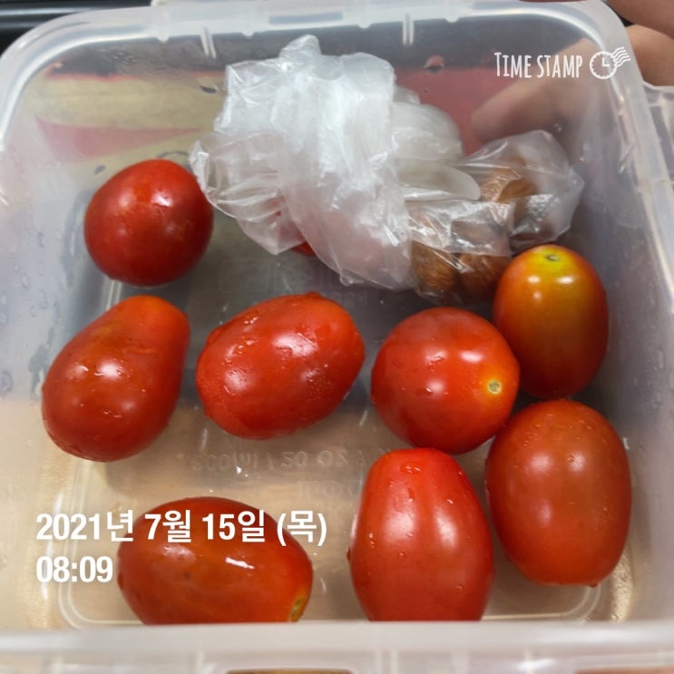  남자 P.T 운동 식단 11일차