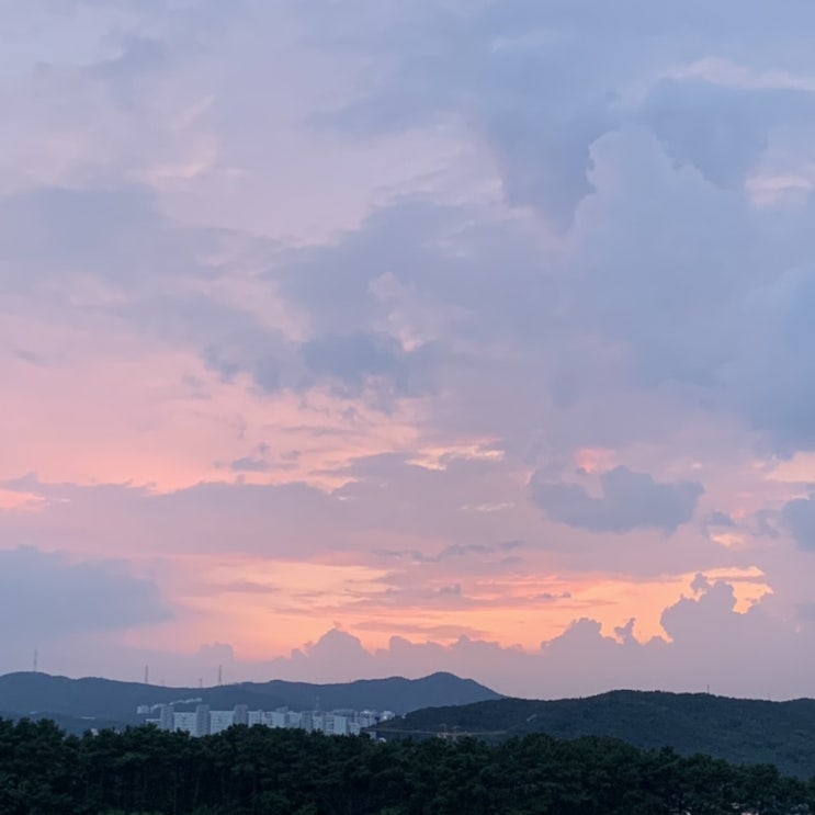  얼른 하늘을 보세요!!!