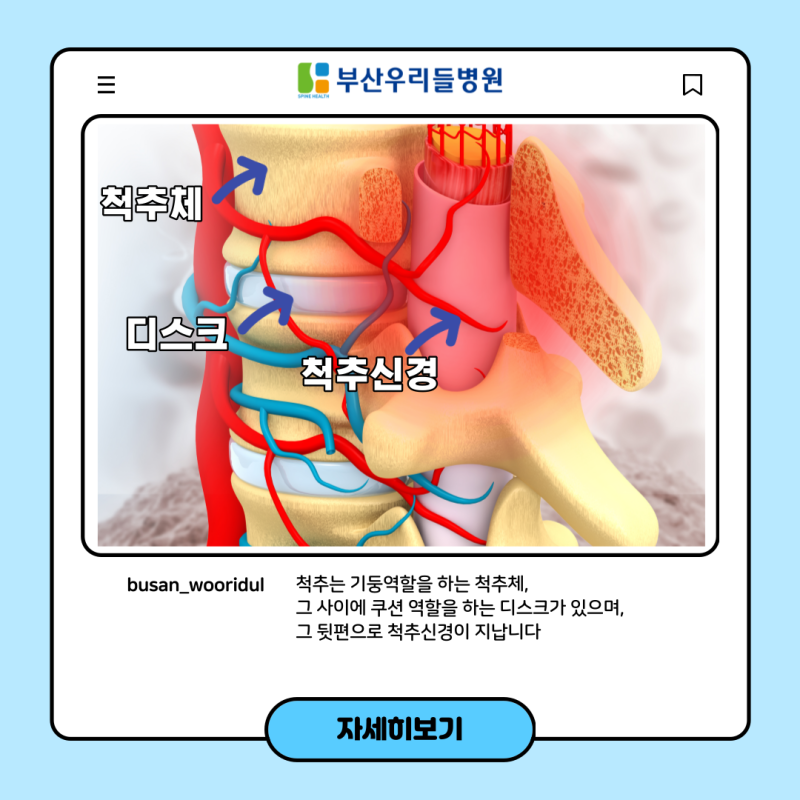부산허리통증병원 괴정허리통증다리저림 2