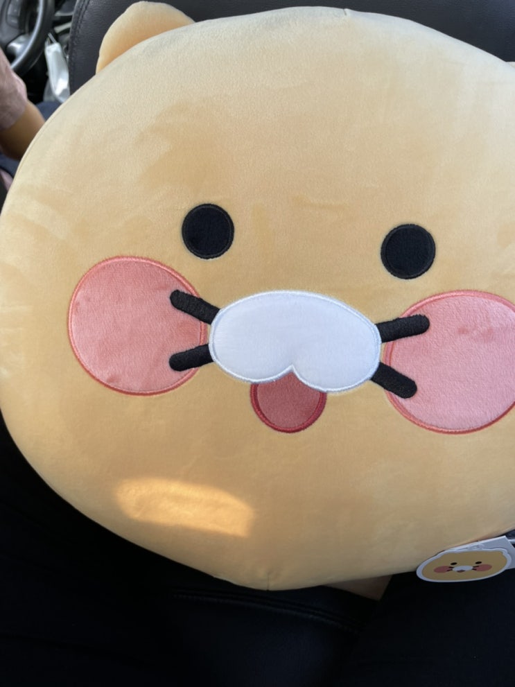  춘식이 데려온 강원도 가족여행 (정동진, 평창, 대게, 메밀막국수, 흥정계곡, 코로나 자가진단키트)