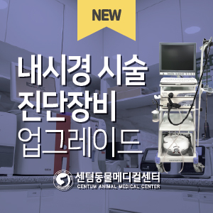  내시경 시술 진단장비 업그레이드 안내 / 소화기 질환 종양 등 관찰 및 조직생검 가능 (부산 수영 센텀동물메디컬센터)