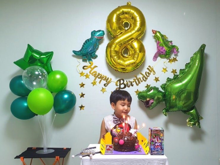  공룡 생일파티용품 여덟살 생일파티