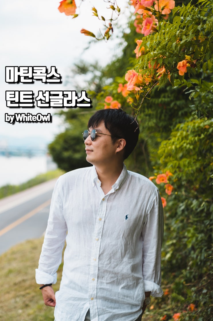  남자 틴트 선글라스 마틴콕스 골드블랙