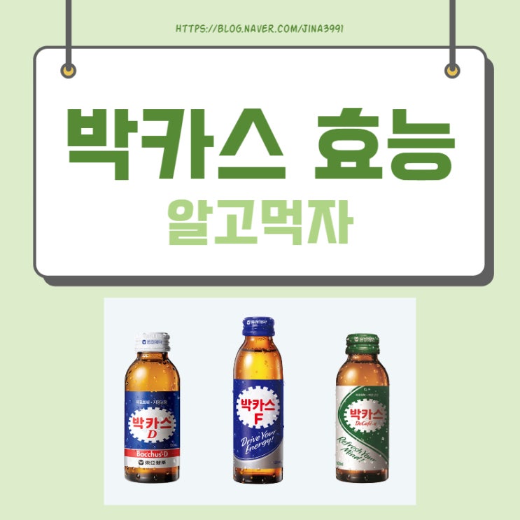  박카스 효능 알고 드시나요?