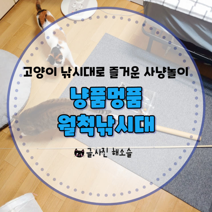  고양이 낚시대로 즐거운 사냥놀이 즐겨요~ with 냥품멍품 월척낚시대