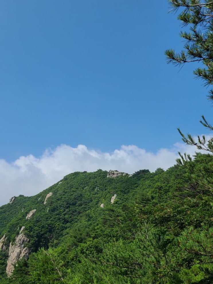  100대명산-79, 양산 천성산(2봉) 비로봉 등산코스(미타암~천성산 비로봉~원점)