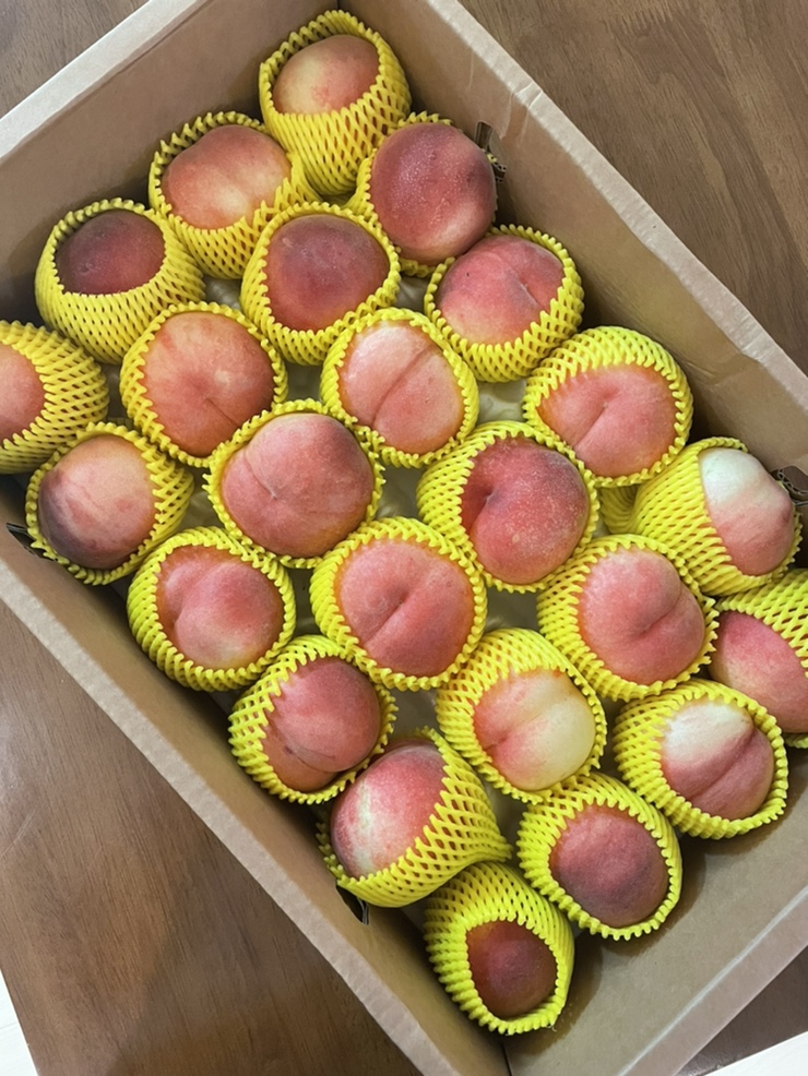 김종달 달달이복숭아 대극천