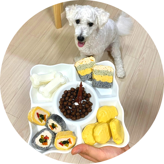  강아지 생일파티 수제간식 선물 추천 : 귀여운주인 생일상 멍김밥, 우유푸딩, 생일떡, 붕어빵