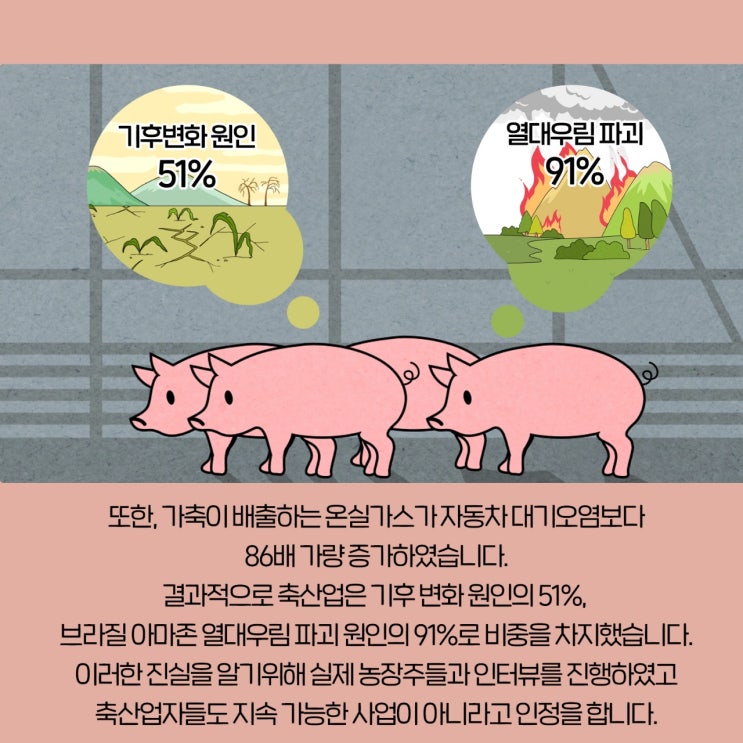  자원재활용과 녹색소비 1회용을 줄여야하는이유 기후위기의심각성 고기를 줄여야하는이유 광주전남녹색소비교육