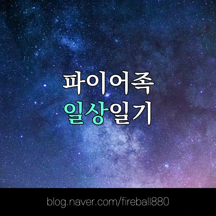  파이어족(a.k.a 날백수)이 하루를 보내는 법