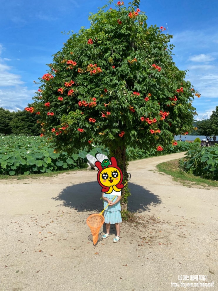 양평으로 나들이 가다 양평으로 나들이 가다