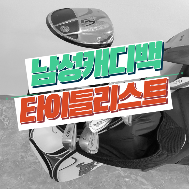  타이틀리스트 남성 캐디백:클래식한 디자인의 화려하지않은 골프백 (모델명 TB6CTCS, 화이트)