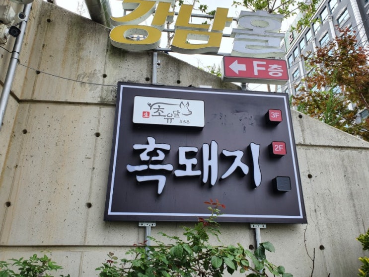  목포해상케이블카 북항승강장 근처 맛집, 목포맛집 흑돼지 '초유달538본점'