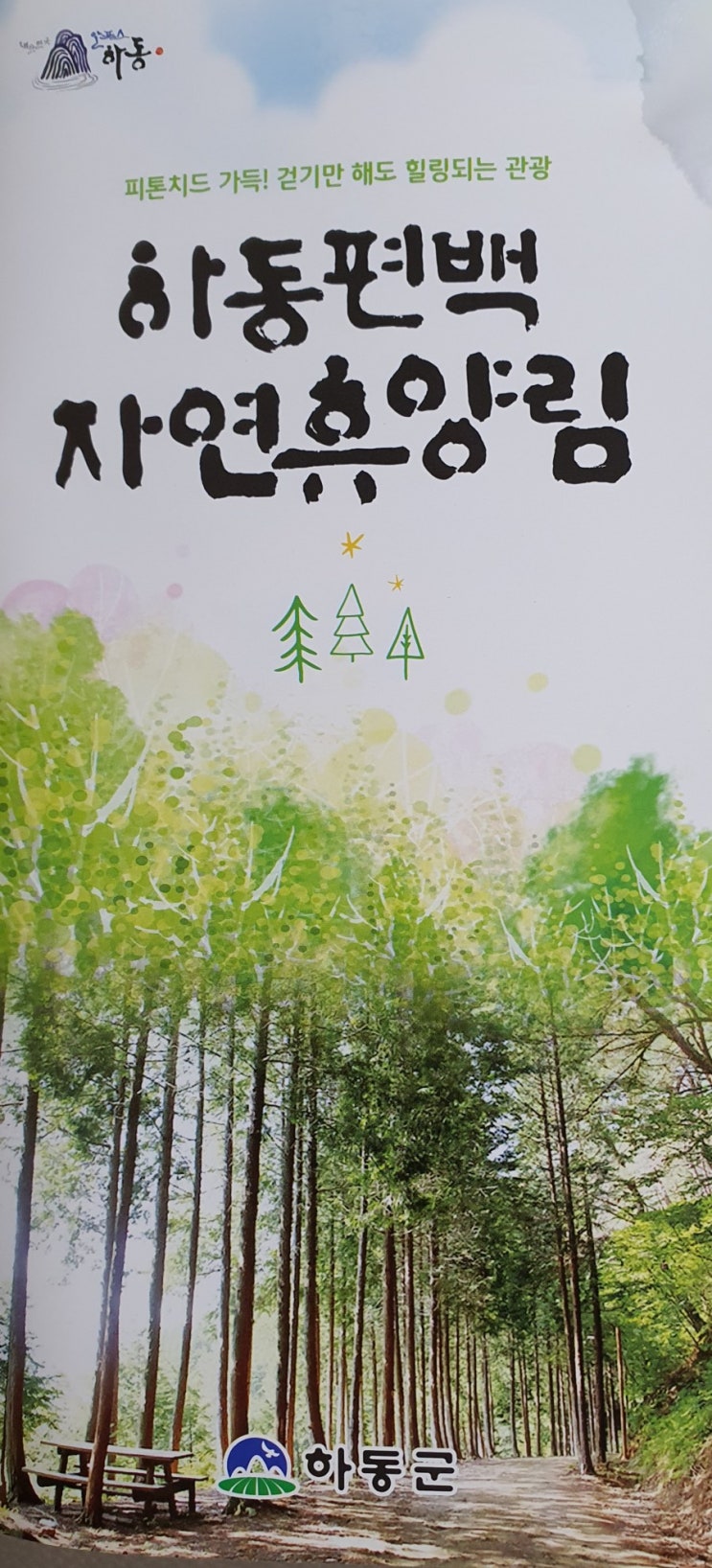  하동 산책맛집 하동 가볼만한곳 "하동편백자연휴양림"