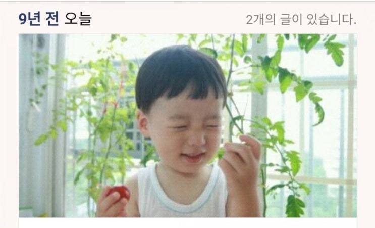 [9년 전 오늘] 모종사기
