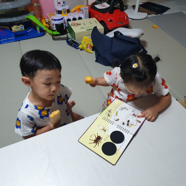  아기책 키즈스콜레 마이퍼스트월드 자연관찰 유아전집