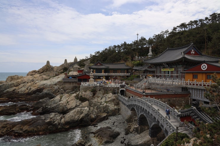  [부산 기장 가 볼 만한 곳 : 해동용궁사] 바닷가에 위치한 이색적인 풍경의 사찰