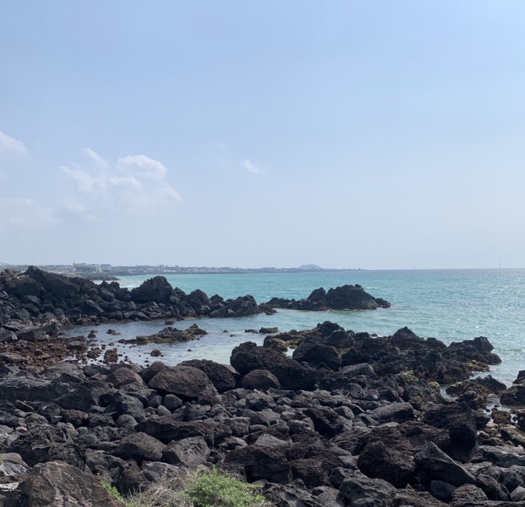  제주도 일기 2day (2)