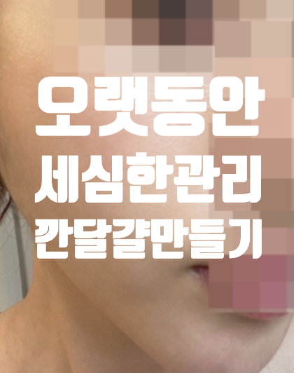  선릉역 피부관리 로라뷰티살롱 2시간 모공 피지 피부톤 맑아졌어요