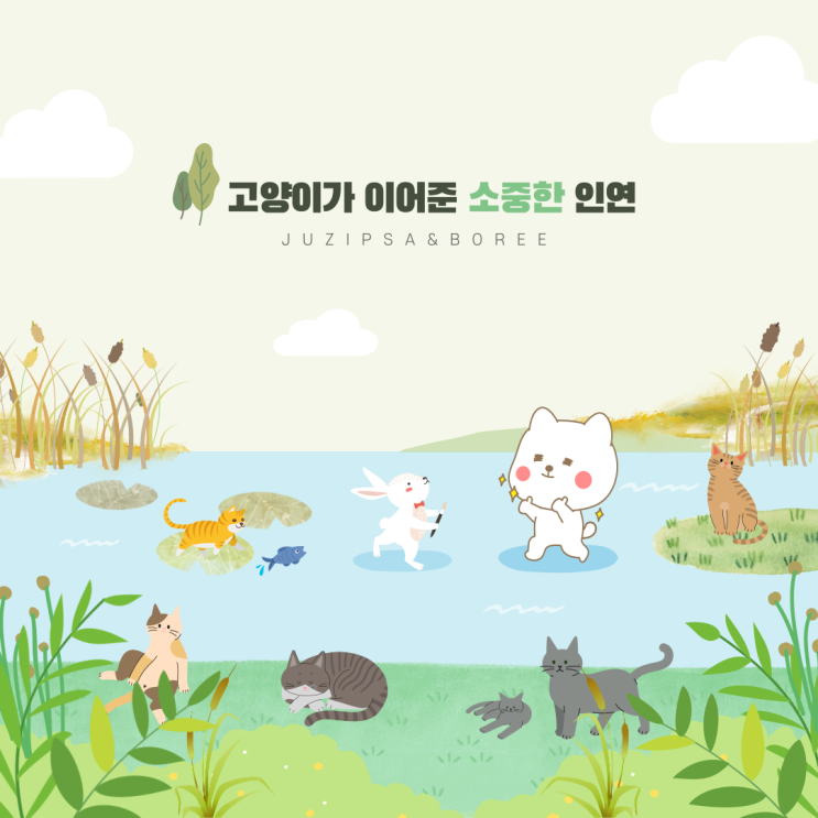  고양이가 이어준 소중한 인연