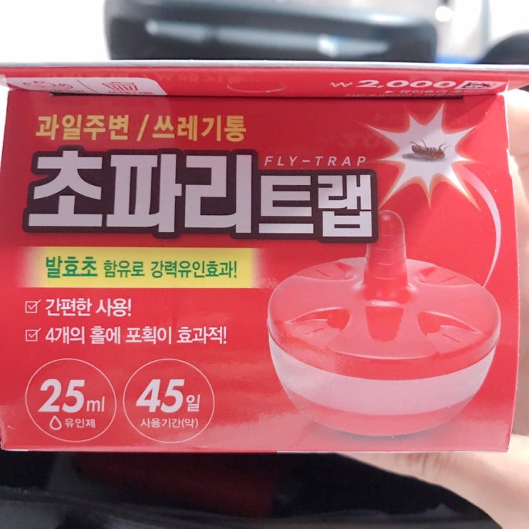  [초파리 트랩 만들기] : 10초안에 트랩 만들기/2000원 다이소 초파리 트랩/