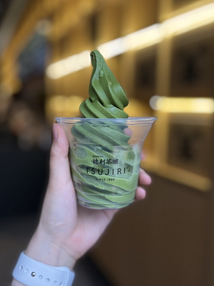  토론토 업타운 마실(ft.공사 끝난 Hmart Finch점 구경)