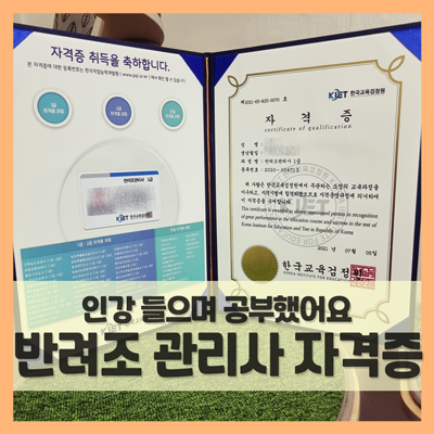  반려조 관리사 자격증 취득, 무료 인강으로 가능해요 (f. 한국교육검정원)