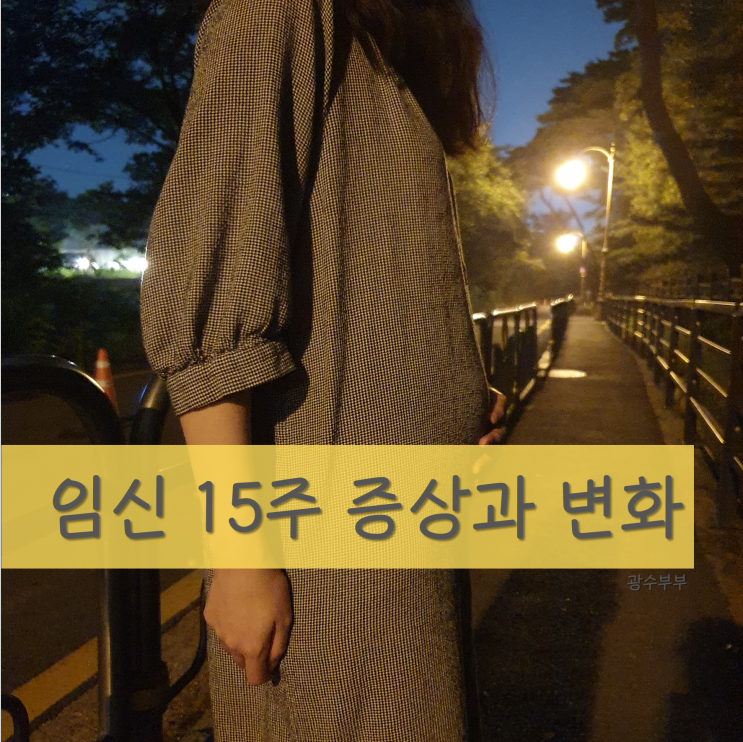  [육아] 임신 15주 증상 : 두통 배통증 배뭉침 배크기 몸무게 등