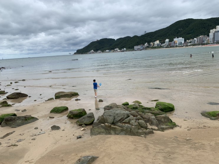 부산여행) 7월 17일 아침 8시 50분 부산 송정해수욕장 부산여행) 7월 17일 아침 8시 50분 부산 송정해수욕장