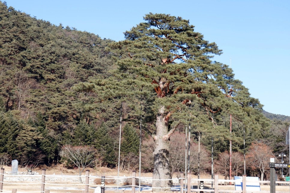 각희골 사진 5