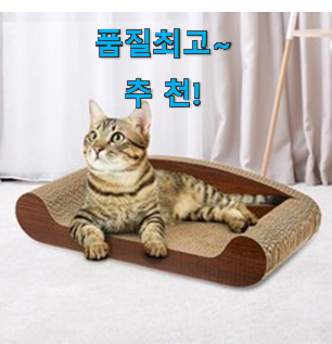 입증된 고양이 스크래쳐 리스트 추천모음 리뷰보고 골랐어요. 입증된 고양이 스크래쳐 리스트 추천모음 리뷰보고 골랐어요.