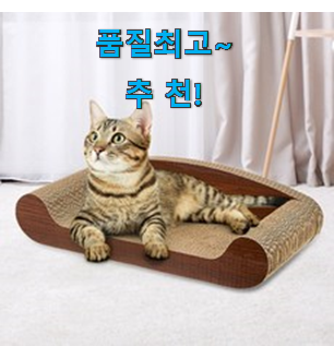 입증된 고양이 스크래쳐 리스트 추천모음 리뷰보고 골랐어요.