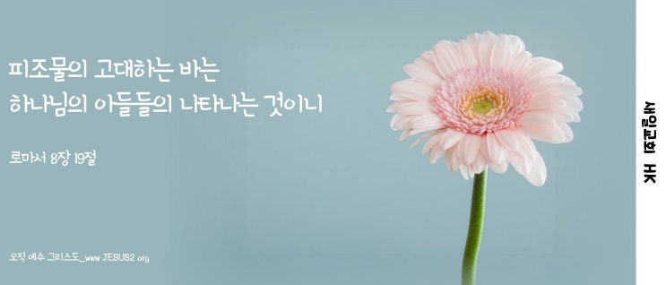  새일교회 ㅣ 시련가운데 남은 종의 역사