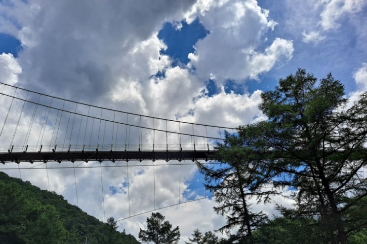  충북 증평 좌구산휴양림