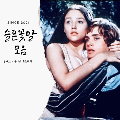  영화로 보는 9가지 슬픈 꽃말 모음