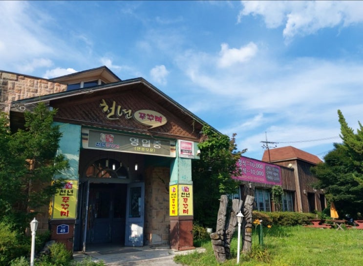 일산 풍산역 풍동 맛집 쭈꾸미 맛집 애니골 먹자골목 천년쭈꾸미