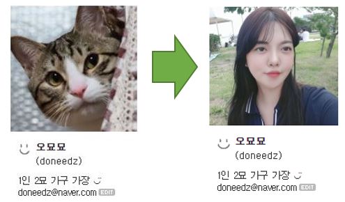  1인 2묘 가구 가장 오묘묘입니다